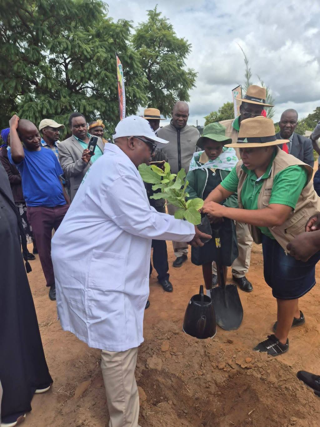Erythrina Abyssinica (Nlidza dumba) Named Zimbabwe’s 2026 Tree of the Year